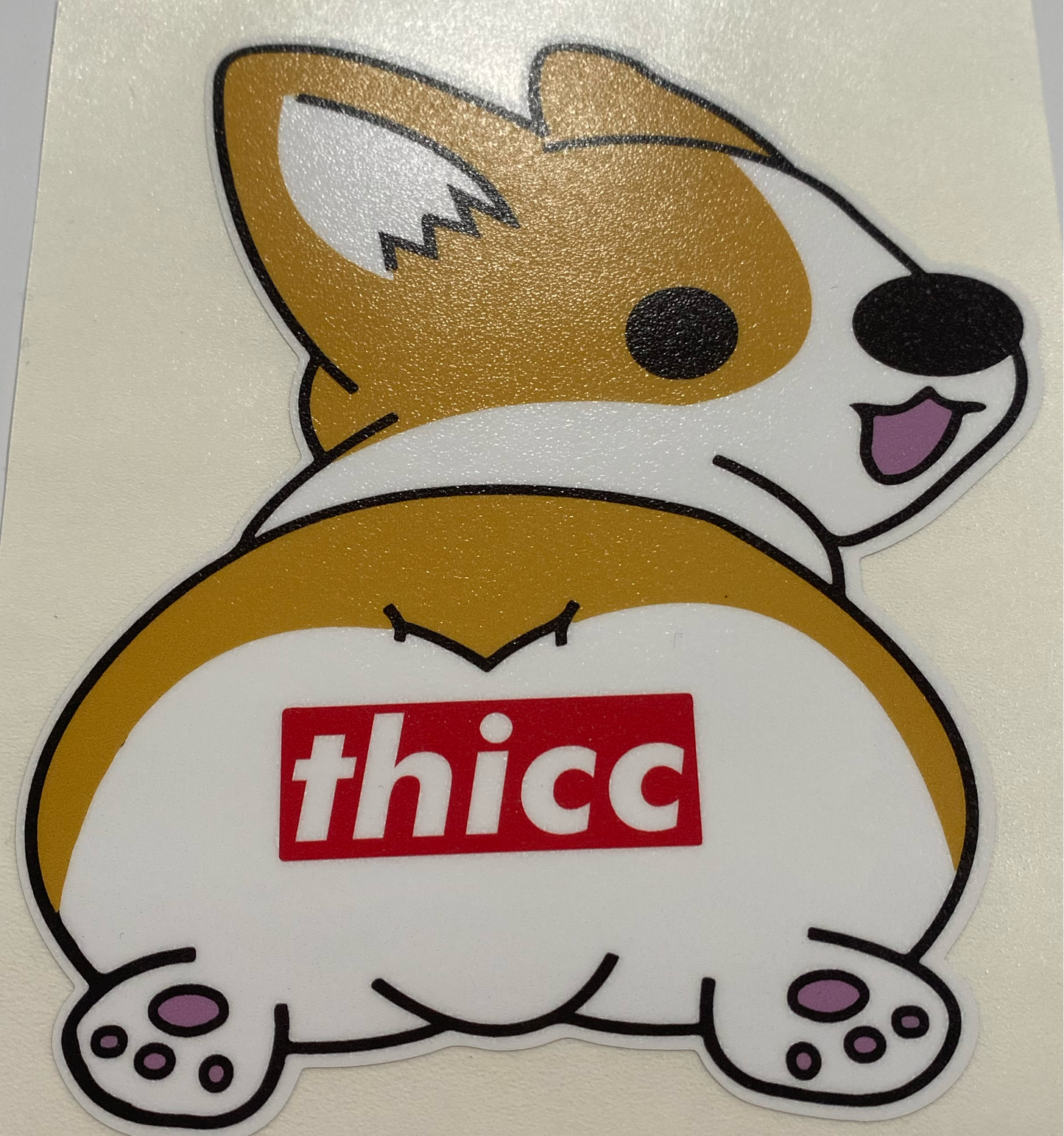 Thicc Corgi